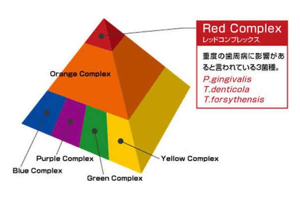 遺伝子検査